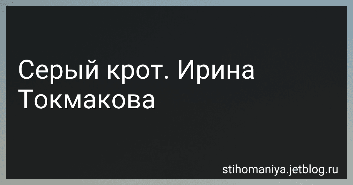 Серый крот. Ирина Токмакова preview