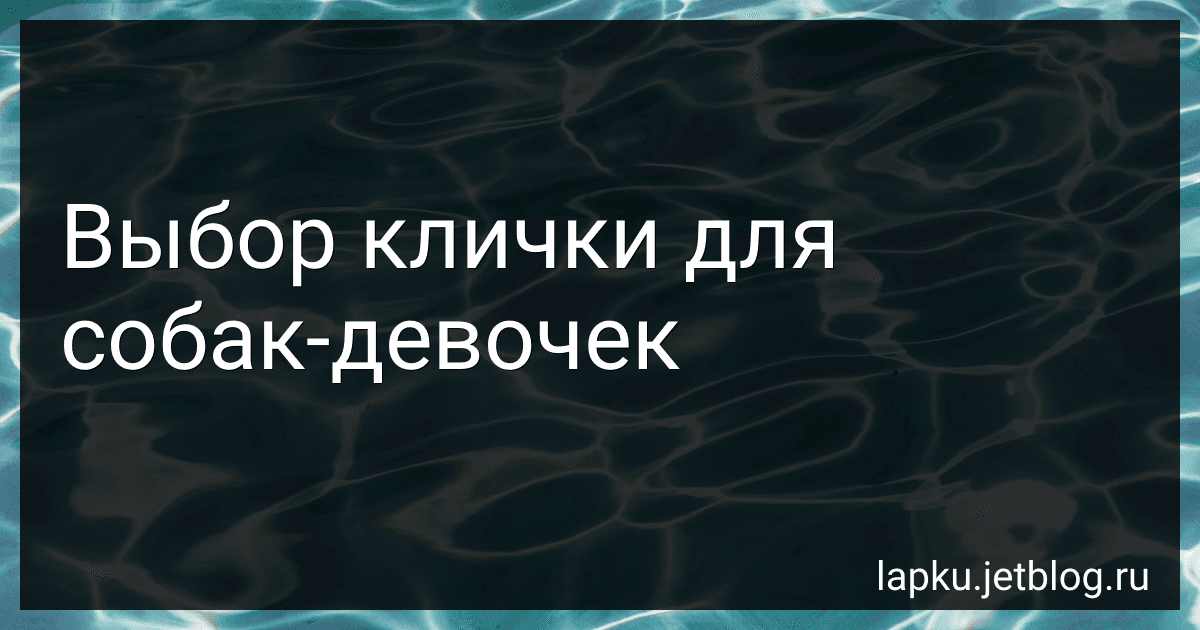 Выбор клички для собак-девочек preview