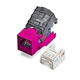 TRUE CABLE Cat5e Toolless Keystone Jack, Unshielded (UTP), PoE++ (4PPoE) 100W, UL Listed, ETL Verified, ANSI/TIA Certified, Modular RJ45 Female, Pink, 6 Pack