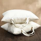 GliCraft 2 Pack 100% Cotton 20"x 26" Canvas Travel Pillow Storage Bag with Handles for Home Travel Beddings Comforters Blankets Saree Linens Organizer Thick Soft Breathable Closet Organizer Bag