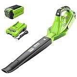 Greenworks 40V Cordless Leaf Blower, 135 CFM, 2.0 Ah Battery and Charger