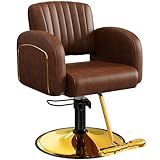 Baasha Professional Brown & Gold Salon Chair, Luxury Hydraulic Styling Chair with Soft PU Leather, High-Density Foam Cushion, 360° Swivel, Stainless Steel Frame, Ergonomic Design, 330 lbs Capacity