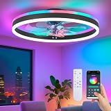 STERREN RGB Ceiling Fan with Light, Low Profile Ceiling Fans, Black