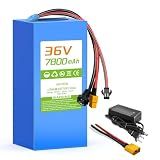 VATOSO 36V Lithium Battery Pack 7800mAh, Built-in 30A BMS, XT60 SM Connector, for Jetson Bolt Pro and 100W-600W DIY Projects, w/ 2A Charger (36V 7.8Ah)