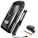 48V Lithium Ebike Battery, 12Ah/16Ah/20Ah, w/ 30A BMS, for Electric Bicycles & E-Motorcycles(100W-1500W), Includes 2A Charger XT60 Connector (48V12AH (with Charger))