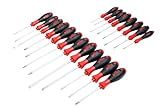 Wiha 30299 Pro Tool Set with SoftFinish Grip, 20 Piece