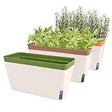 OurWarm Windowsill Herb Planter Box Indoor Set of 3, 10.5 Inch Self Watering Planter Pots with Visual Water Level Window, Modern Plastic Plant Pots for Herbs, Vegetables, Succulents Plants