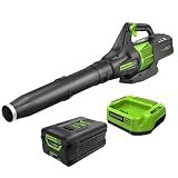 Greenworks 60V Electric Leaf Blower, 450 CFM, 2.5 Ah Battery and Charger