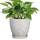 MPotTo 6 Inch Ceramic Plant Pot for Indoor Plants Outdoor Round Planter Flower Pot with Drainage Hole and Saucer for Home Garden Office Decor White