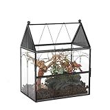 NCYP Glass Enclosure with Vent Holes for Insect, Jumping Spiders - 7.5" x 4.9" x 9" Small Closed Front Opening Door Succulent Terrarium - House Shape Habitat, Home Decor Black (No Plants)