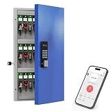 WeHere 48-Key Smart Key Lock Box Wall-Mount, Key Cabinet with Key Management App(Track Key Borrow/Return), Keypad, Bluetooth & WiFi Unlock (Sold Separately) for Commercial, School, Rental, Office
