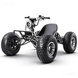 Zyliathor Adults & Kids Electric Off-Road Go Kart, 12-Mile, Brushless Peak 4000W, Up to 31MPH, 3 Speed + Reverse + Limiter, Shaft Drive Diff, AT19x7-8 Tires, Family Backyard Trails, Beach/Sand