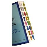 Book Tabs for The Plain Language Big Book: Alcoholics Anonymous