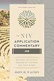 Job (The NIV Application Commentary)