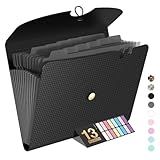 Sooez Expanding File Folder, 13 Pocket Accordion File Organizer, Monthly Expandable File Folder for Documents with Labels, Portable Bill Receipt Organizer for School Office Supplies, Letter A4 Size