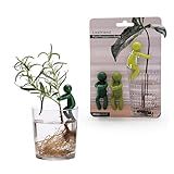 Leafriend: Plant Propagation Buddy; Plant Support for Sprouts, Stems, Shoots, and Cuttings; 3 Cute Plant Supports for a Plant Propagation Station or an Indoor Garden; Plant Lover Gifts by Peleg Design