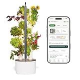 Gardyn Studio 1 Vertical Hydroponics Growing System Kit - 16 Non-GMO Plants, Herbs, Vegetables - Tower Garden - Hydroponic Herb Garden Planter Indoor Kit - Indoor Gardening System with LED Grow Lights