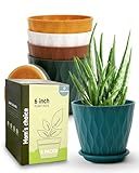 Goproauto 6 Inch Indoor Planter Pots with Drainage Hole and Tray Saucer,Flower Pots for Indoor Outdoor Garden Plants and Flowers, Multicolor, 5 Packs