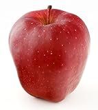 Organic Cosmic Crisp Apple