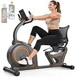 Niceday Recumbent Exercise Bike, Recumbent Bike for Home, Recumbent Stationary Bike 400LBS Weight Capacity, Magnetic Recumbent Bike with Smart APP, LCD Monitor, Heart Rate Handle