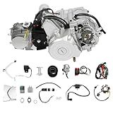 LIAPDG 125CC 4-Stroke Engine Motor Kit, Semi-Auto ATV Engine Single Cylinder Go Kart Engine Complete Kit with PZ19 Carburetor & CDI Ignition Electric Start for Dirt Bike, Quad, Pit Bike, Rocket Car