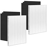 Filters Set Compatible with Fellowes AeraMax 300 True HEPA Filter Replacement for Air Purifier Aera-Max 290 DX95 AP-300PH HF-300, Part# 9287201, Includes 2 True HEPA & 6 Extra Carbon Pre-Filter