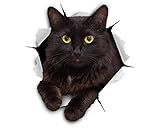 Winston & Bear 3D Black Cat Wall Stickers – 2-Pack Funny Vinyl Cat Decals for Bedroom, Kitchen, Toilet, Fridge, or Car – Gift for Pet Lovers