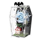 Magnetic Acrylic Jumping Spider Enclosure with Mushroom House, Easy-Feed Hole & Front Opening – Terrarium for Tarantula, Mantis, Beetle, Gecko, Hermit Crab, Reptile Habitat