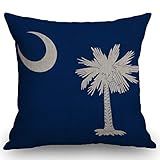 SSOIU Flag of South Carolina Theme Farmhouse Decorative Throw Pillow Covers for Sofa Couch Home Decoration 18x18 inches