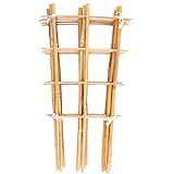Avalution 10 Pack Bamboo Trellis for Climbing Plants 16" Natural Garden Ladder Trellis, Fan -Shaped Plant Support Trellis for Potted Plant Decor