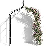 Thickened Metal Garden Arch,16mm Pipe Diameter Heavy-Duty Gothic Garden Arbor for Climbing Plant Roses Vines, Garden Patio Bridal Party Decoration Wedding Arch (Black, XL)