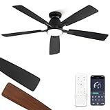Fanbulous 52 inch Ceiling Fans with Lights, Smart Flush Mount Ceiling Fan and Remote APP, Modern Low Profile, 3CCT 20W LED with 6-Speeds Quiet Reversible Motor for Bedroom, Living Room, Kitchen, Black