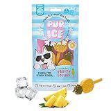 Pup Ice- Ready to Freeze at Home Dog Treats-Edible Chews for Small Breed Dogs & Puppies with Real Chicken to Keep Your Pup Cool Year Round, Fruity Lollies Pineapple Flavor, 3pcs