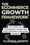 THE ECOMMERCE GROWTH FRAMEWORK™: THE ESSENTIAL ECOMMERCE MARKETING TOOL FOR SMALL BUSINESS OWNERS