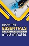 Learn the Essentials of The Elliott Wave Principle in 30 Minutes