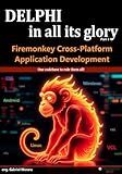 Delphi in all its glory: FireMonkey Cross-Platform Application Programming for Android, iOS, macOS, Windows & Linux