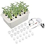 NATGAI Hydroponic System Growing Kit with Air Pump 12 Holes Soilless Cultivation Grow Box Garden Cabinet Box for Herbs, Lettuce, Vegetables
