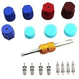 Aracey 19Pcs Air Conditioning Valve Core Kit | Car & Home AC R12 R134a Teflon Seal Refrigeration Schrader Valve Core with Valve Core Rmover Tool Air Conditioning AC System Charging Port Seal Caps Kit