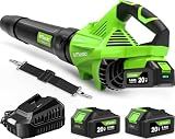 Leaf Blower Cordless, New Upgraded 1200W Brushless Motor Leaf Blower, 700CFM 200MPH with 3 Speed Modes, 160Mins Max Runtime, Handheld Electric Blower for Lawn Care, Yard, Dust & Snow