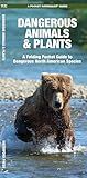 Dangerous Animals & Plants (Nature Observation North America)