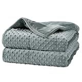 Alomidds Weighted Blanket (60"x80",15lbs Queen Size - Grey), Weighted Blankets for Adults and Kids, Cooling Breathable Soft and Comfort Minky, Heavy Blanket Microfiber Material with Glass Beads
