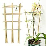 16Inch 5Pack Bamboo Trellis for Climbing Plants, Garden Ladder Trellis for Potted Plants Indoor, Fan Shaped Small Plant Support Trellis for HousePlants Ivy Vine Monstera 3-4