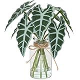 Muhanjia Artificial Flowers Turtle-Back, Alocasia Leaf, in Glass Vase with Faux Water,7Pcs Artificial Leaves Real Touch Latex Leaves for Centerpiece (1, Alocasia Leaf)