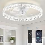 LEDIARY 20" Modern Ceiling Fans with Lights and Remote, White Fandelier
