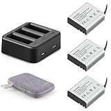 GEEKAM 1350mAh Action Camera Batteries (3-Pack) with 3 Channel Charger for AKASO EK7000/Brave 4/V50X, Dragon Touch, Apexcam, COOAU, Crosstour, Campark, APEMAN, PG900/PG1050/S009R and More