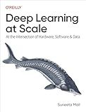 Deep Learning at Scale: At the Intersection of Hardware, Software, and Data