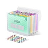 ThinkTex Accordion File Organizer, 12 - Pocket Expanding File Folders for Paper Receipts, Bills & Taxes Organizer, Letter/A4 Size Document Holder for School, Office, Home with Colorful tabs- Black