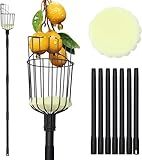 Fruit Picker Pole with Basket - 10.7FT(329CM) Adjustable Tree Gardening Supplies with Stainless Steel Handle Apple Picker Fruit Grabber Reach Tool for Mango Pear Orange Avocados Fruit Picking, Black