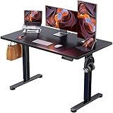 ErGear Height Adjustable Electric Standing Desk, 47.2 x 23.6 Inches Sit Stand up Desk, Memory Computer Home Office Desk (Black)
