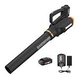 WORX WG547 20V Cordless Leaf Blower, Electric Blower with Turbine Fan, Blowers for Lawn Care with 2 Speed Control, Battery & Charger Included